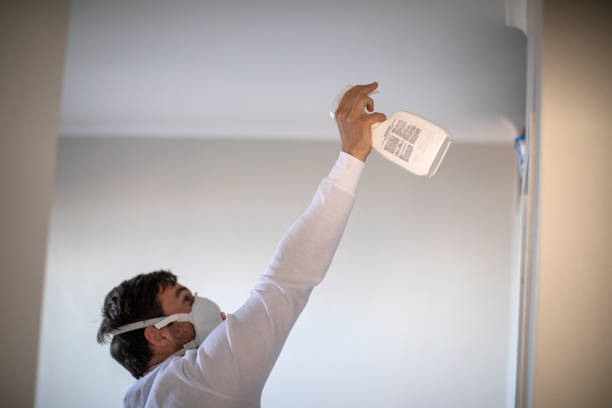 Best Same-Day Mold Removal  in Eaton Estates, OH