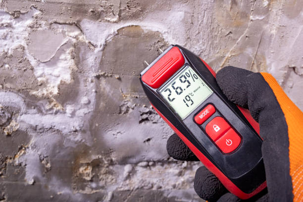 Best Mold Remediation  in Eaton Estates, OH