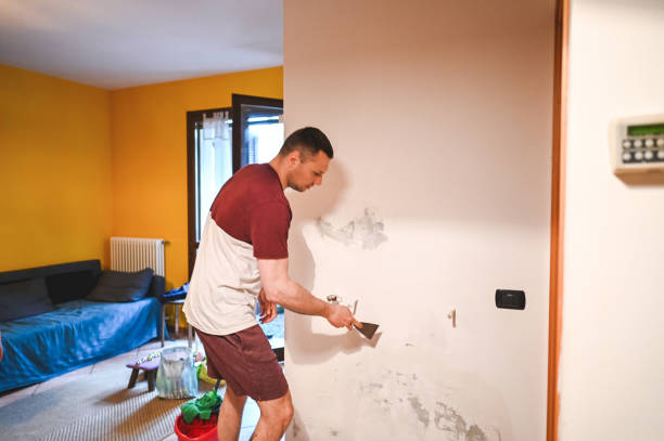Best Mold Testing and Removal  in Eaton Estates, OH